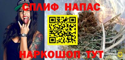 амф Бийск