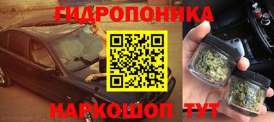 гидропоника Берёзовский